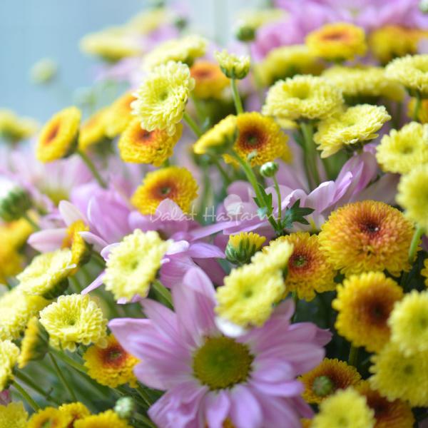 Bình Hoa  Nắng Ấm Dịu Dàng 158