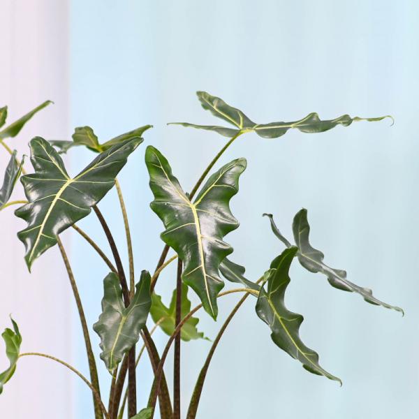 Chậu Cây Thiết Kế Đồng Xanh 004