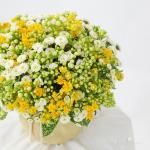 Giỏ Hoa Chúc Mừng 023