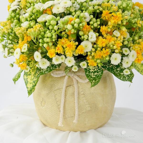 Giỏ Hoa Chúc Mừng 023