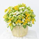 Giỏ Hoa Chúc Mừng 023