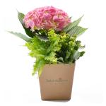 Chậu Hoa Thiết Kế  Chân Thành 032