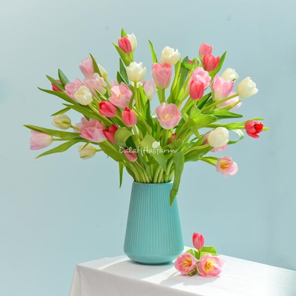 Bình Hoa Tulip 018
