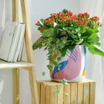 Chậu Hoa Thiết Kế Trường Thọ 123