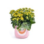 Chậu Hoa Thiết Kế Trường Thọ 123