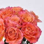 Bình Hoa Yêu Thương Nồng Ấm 341