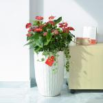 Hồng Môn Đón Lộc Đầu Xuân 119