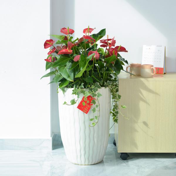 Hồng Môn Đón Lộc Đầu Xuân 119