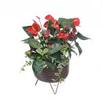 Hồng Môn Đón Lộc Đầu Xuân 113