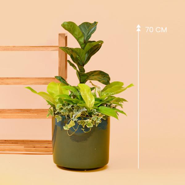 Chậu Cây Thiết Kế Đồng Xanh 115