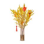 Mai Mỹ - Đầu Xuân Thịnh Vượng