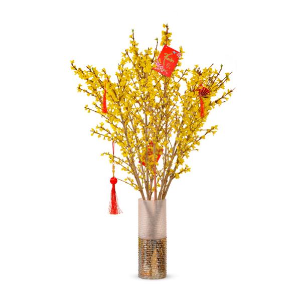 Mai Mỹ - Đầu Xuân Thịnh Vượng