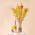 Mai Mỹ - Đầu Xuân Thịnh Vượng