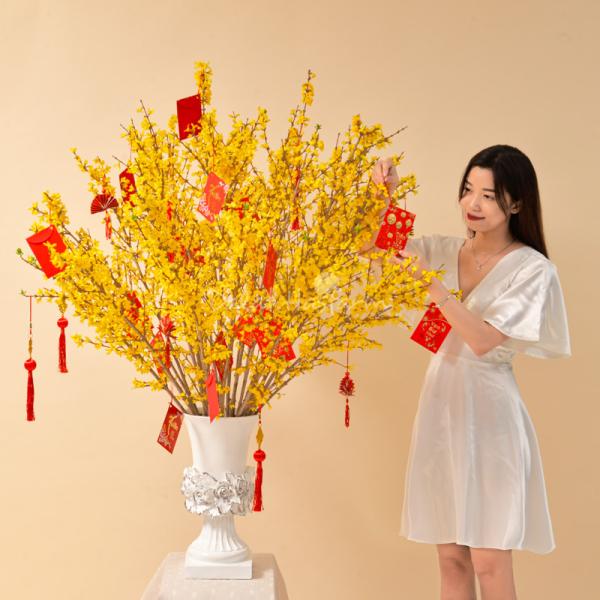 Mai Mỹ -  Đầu Xuân An Khang