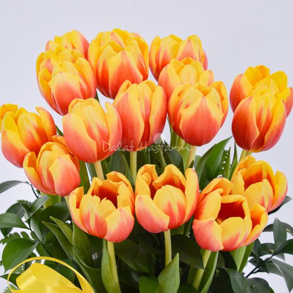 Giỏ Hoa Tulip 284