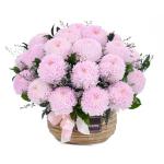 Giỏ Hoa Trân Quý 295