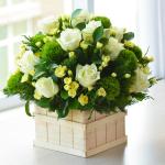 Hộp Hoa Yêu Thương Đậm Sâu 159