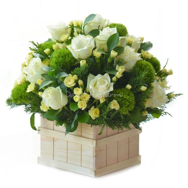 Hộp Hoa Yêu Thương Đậm Sâu 159