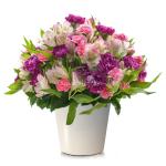 Chậu Hoa Sứ Giả May Mắn 053