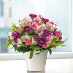 Chậu Hoa Sứ Giả May Mắn 053