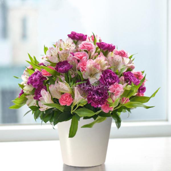 Chậu Hoa Sứ Giả May Mắn 053