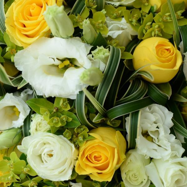 Bó Hoa Dẫn Lối Yêu Thương 003