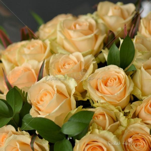 Bó Hoa Dẫn Lối Yêu Thương 085