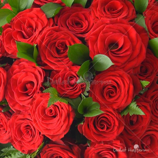 Bó Hoa Yêu Thương Đong Đầy 087