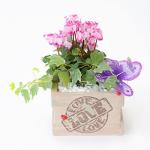 Chậu Hoa Thiết Kế Chào Ngày Mới 036