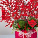 Bình Hoa Đào Đông - Tết Phú Quý 563