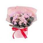 Chậu Hoa Thiết Kế Điều Ngọt Ngào 103