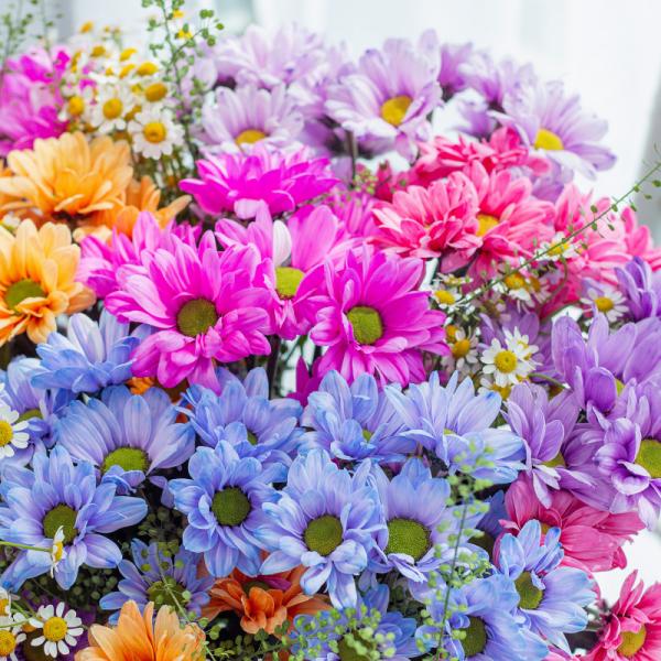 Bình Hoa Yêu Thương Rực Rỡ 485