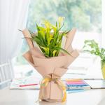 Chậu Hoa Thiết Kế Điều Ngọt Ngào 094