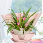 Chậu Hoa Thiết Kế Điều Ngọt Ngào 094