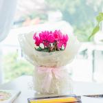 Chậu Hoa Thiết Kế Điều Ngọt Ngào 101