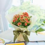 Chậu Hoa Thiết Kế Điều Ngọt Ngào 100