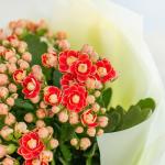 Chậu Hoa Thiết Kế Điều Ngọt Ngào 100