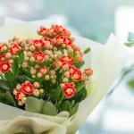 Chậu Hoa Thiết Kế Điều Ngọt Ngào 100