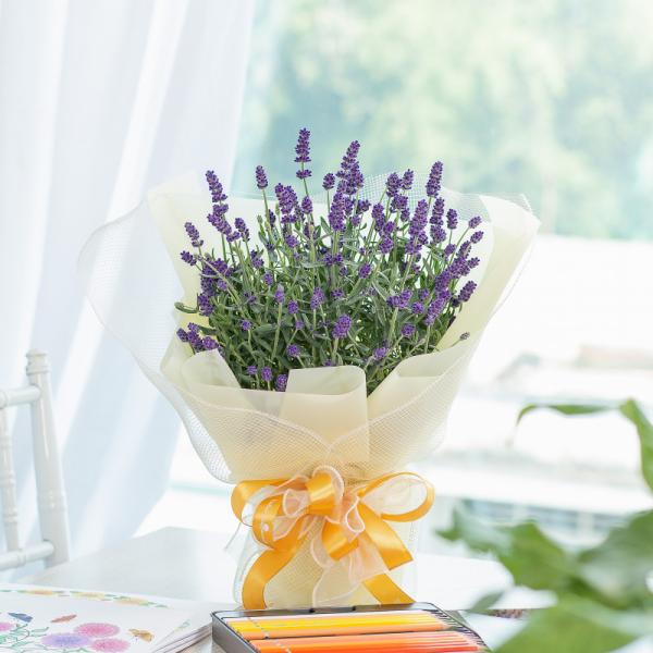 Chậu Hoa Thiết Kế Điều Ngọt Ngào 102