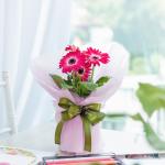 Chậu Hoa Thiết Kế Điều Ngọt Ngào 095