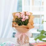 Chậu Hoa Thiết Kế Điều Ngọt Ngào 097