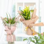 Chậu Hoa Thiết Kế Điều Ngọt Ngào 094