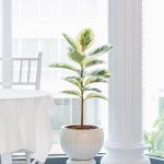 Chậu Cây Thiết Kế Đồng Xanh 047