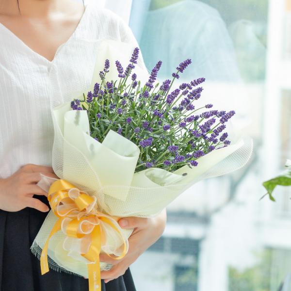 Chậu Hoa Thiết Kế Điều Ngọt Ngào 102