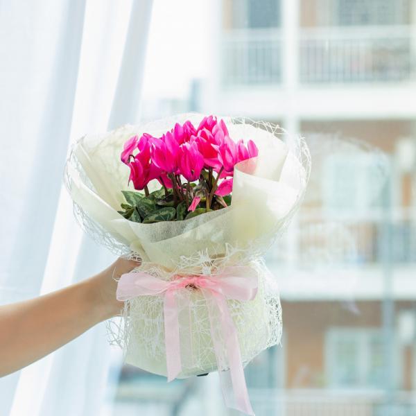 Chậu Hoa Thiết Kế Điều Ngọt Ngào 101