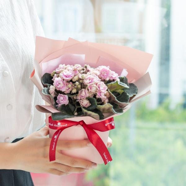 Chậu Hoa Thiết Kế Điều Ngọt Ngào 103