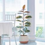 Chậu Cây Thiết Kế Đồng Xanh 047