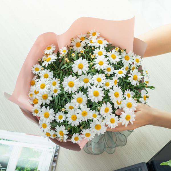 Chậu Hoa Thiết Kế Điều Ngọt Ngào 096