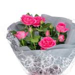 Chậu Hoa Thiết Kế Điều Ngọt Ngào 098