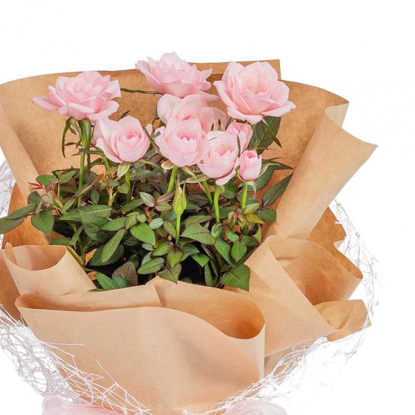 Chậu Hoa Thiết Kế Điều Ngọt Ngào 097